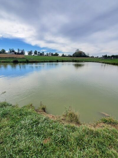 Canine Meadow - Dog Park - Kirtland, OH