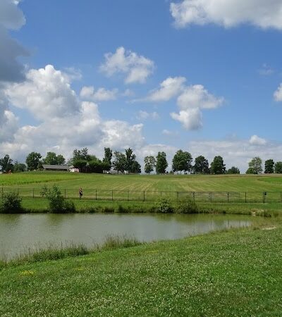 Canine Meadow - Dog Park - Kirtland, OH