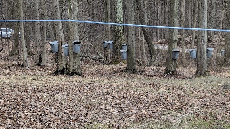 Canine Meadow - Dog Park - Kirtland, OH