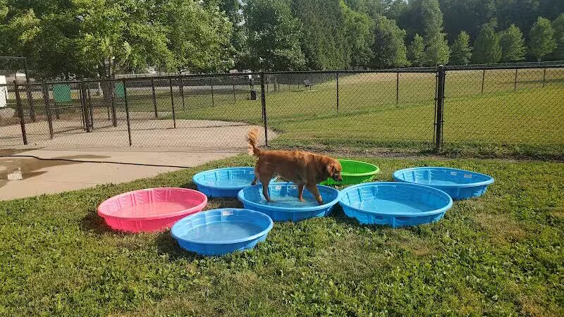 Dog Park Association of Greater Lafayette - Lafayette, IN