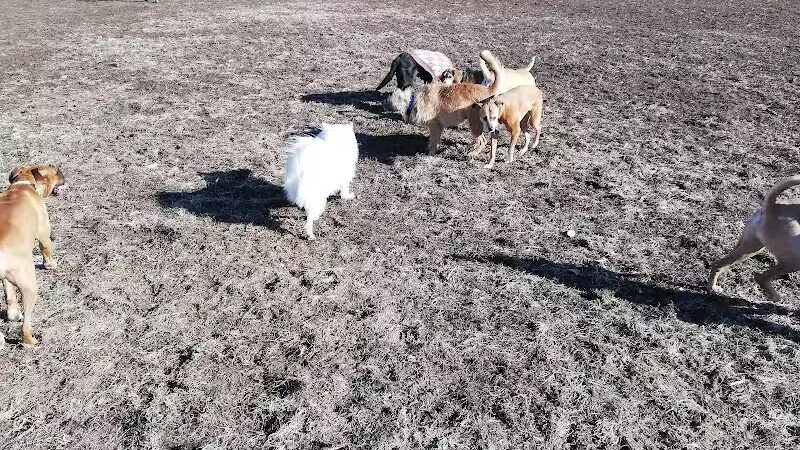 Dog Park Association of Greater Lafayette - Lafayette, IN