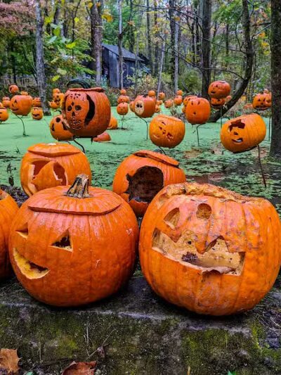 Carlisle Metro Park - Lagrange, OH