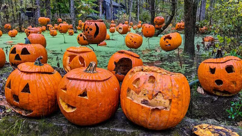 Carlisle Metro Park - Lagrange, OH