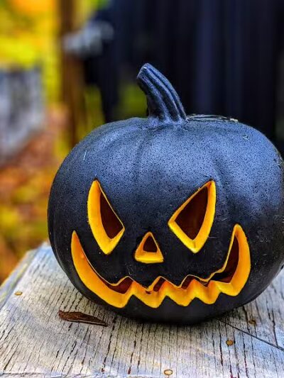 Carlisle Metro Park - Lagrange, OH