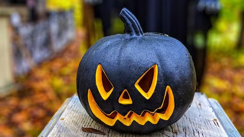 Carlisle Metro Park - Lagrange, OH