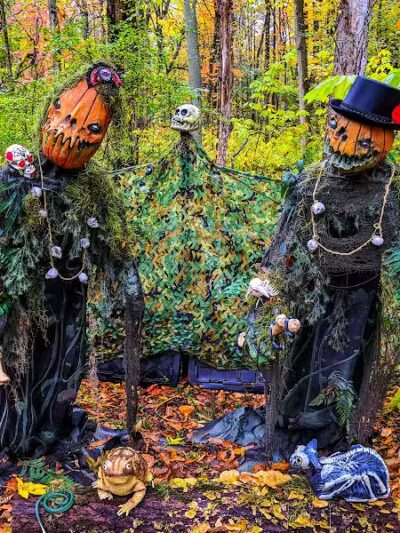 Carlisle Metro Park - Lagrange, OH