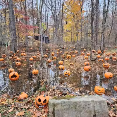 Carlisle Reservation - Lagrange, OH