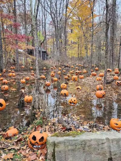 Carlisle Reservation - Lagrange, OH