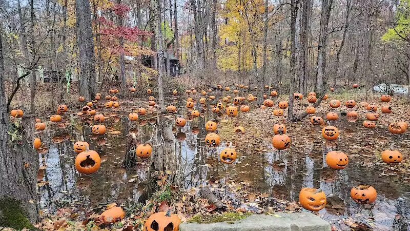 Carlisle Reservation - Lagrange, OH