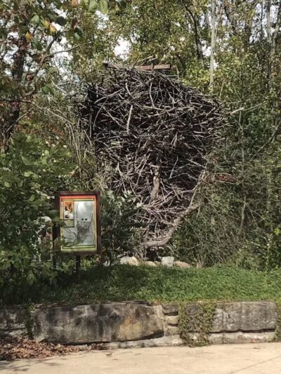 Carlisle Reservation - Lagrange, OH