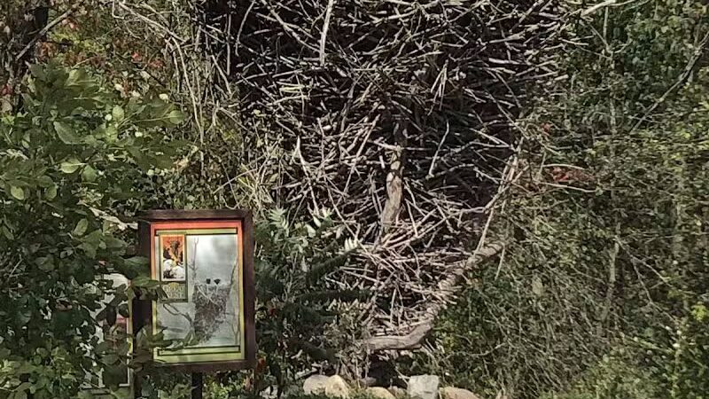 Carlisle Reservation - Lagrange, OH