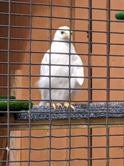 Carlisle Reservation - Lagrange, OH