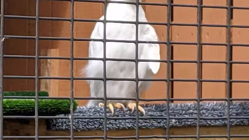 Carlisle Reservation - Lagrange, OH