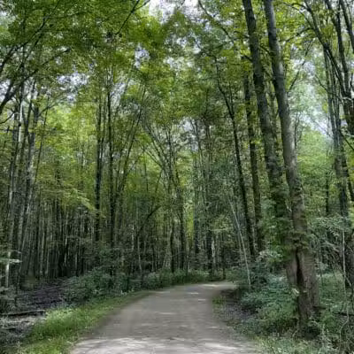 Carlisle Reservation - Lagrange, OH