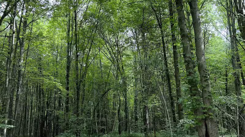 Carlisle Reservation - Lagrange, OH