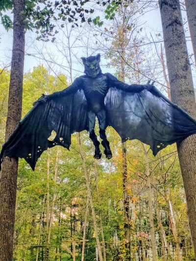 Carlisle Reservation - Lagrange, OH