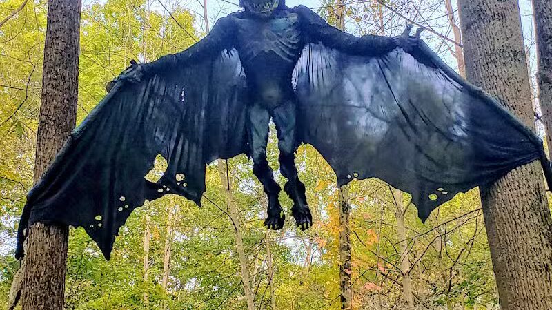 Carlisle Reservation - Lagrange, OH