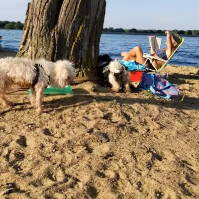 Craig Beach - Lake Milton, OH