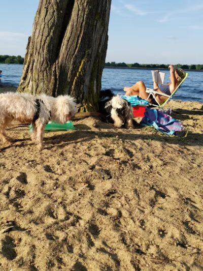 Craig Beach - Lake Milton, OH