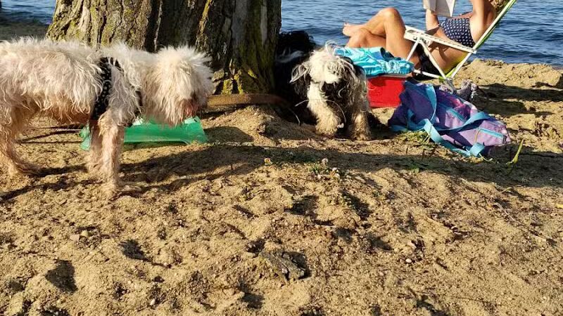 Craig Beach - Lake Milton, OH