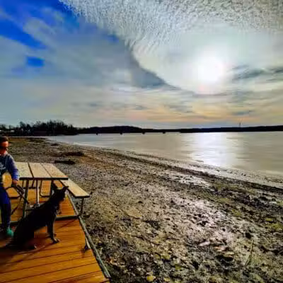Harry Meshel Picnic Area - Lake Milton, OH