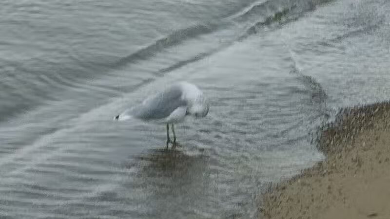 Lake Milton Beach - Lake Milton, OH