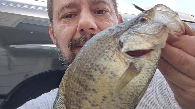 Lake Milton Beach - Lake Milton, OH