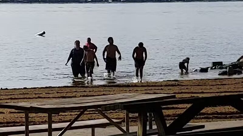 Lake Milton Beach - Lake Milton, OH