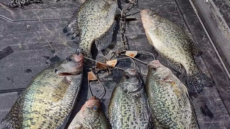 Lake Milton State Park - Lake Milton, OH