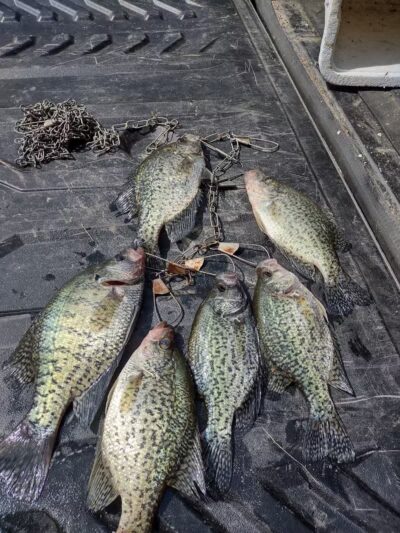 Lake Milton State Park - Lake Milton, OH