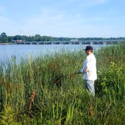 Lake Milton State Park Marina - Lake Milton, OH