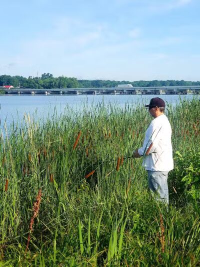 Lake Milton State Park Marina - Lake Milton, OH
