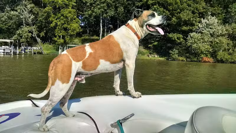 Lake Milton State Park - Lake Milton, OH