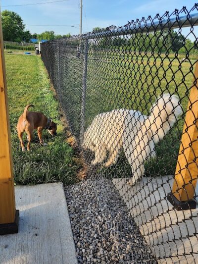 Bark Until Dark Dog Park - Lakeside Marblehead, OH