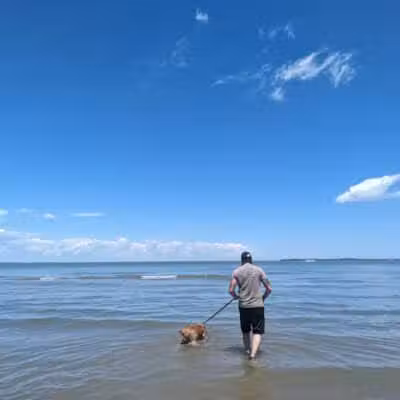 East Harbor State Park Dog Friendly Beach - Lakeside Marblehead, OH