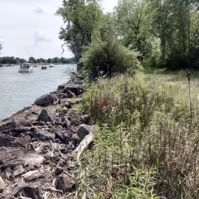 East Harbor State Park Dog Friendly Beach - Lakeside Marblehead, OH