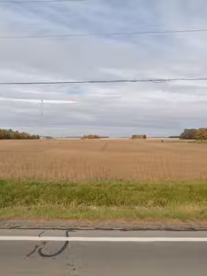 Indian Lake Dog Park - Lakeview, OH