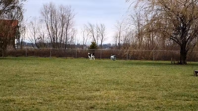 Old Field Beach Dog park - Lakeview, OH