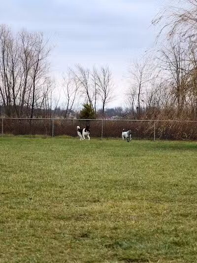 Old Field Beach Dog park - Lakeview, OH