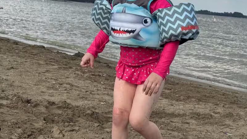 Old Field Beach Dog park - Lakeview, OH