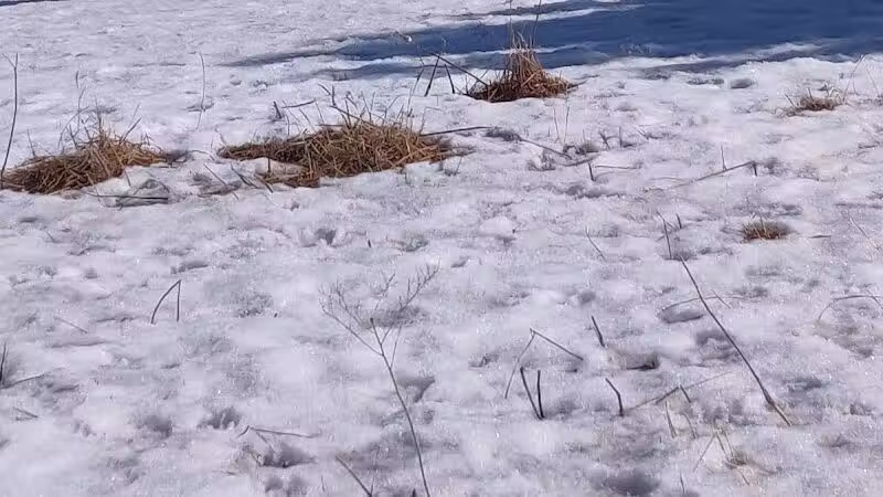 Ritter Farm Dog Park - Lakeville, MN