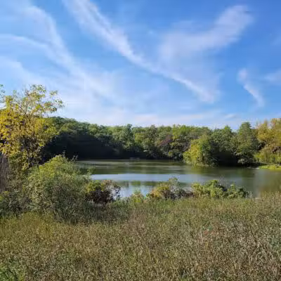 Ritter Farm Dog Park - Lakeville, MN