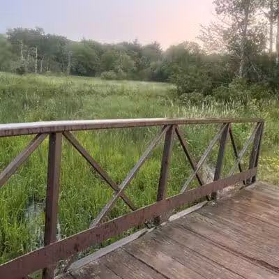 Ritter Farm Dog Park - Lakeville, MN