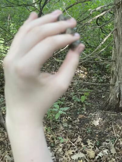 Ritter Farm Dog Park - Lakeville, MN