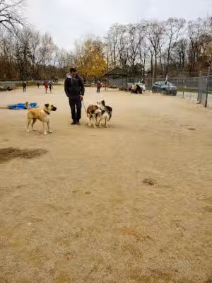 Lakewood Dog Park - Lakewood, OH