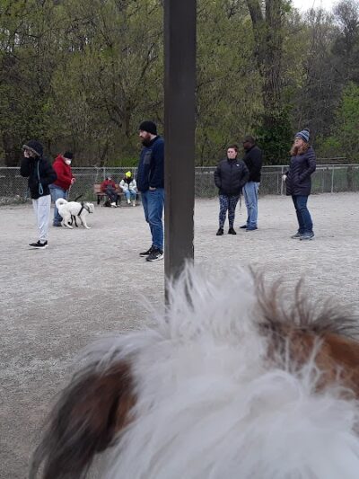 Lakewood Dog Park - Lakewood, OH