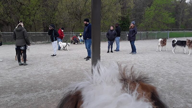 Lakewood Dog Park - Lakewood, OH