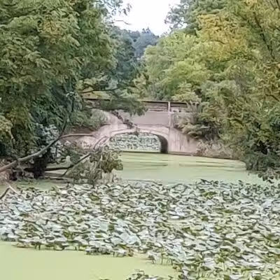 Scenic Park - Metroparks - Lakewood, OH
