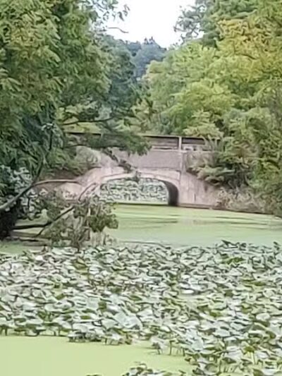 Scenic Park - Metroparks - Lakewood, OH