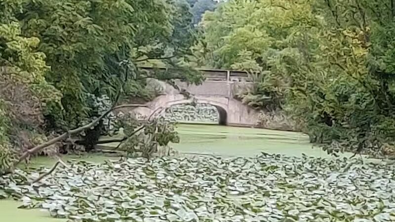 Scenic Park - Metroparks - Lakewood, OH